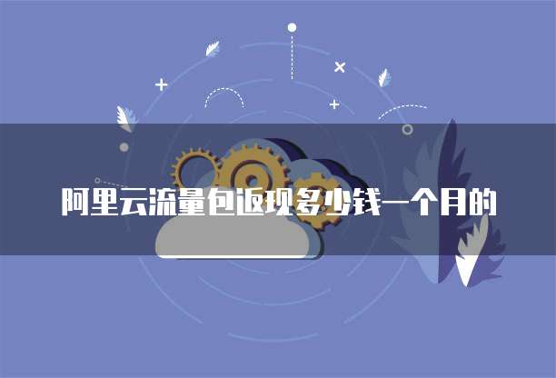 阿里云流量包返现多少钱一个月的