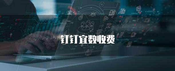 钉钉宜数收费