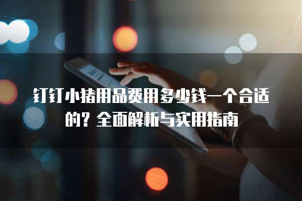 钉钉小猪用品费用多少钱一个合适的?全面解析与实用指南