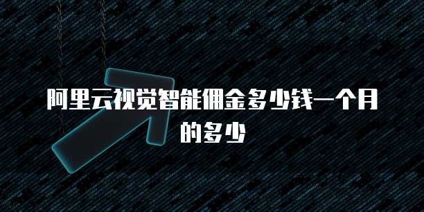 阿里云视觉智能佣金多少钱一个月的多少