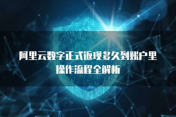 阿里云数字正式返现多久到账户里操作流程全解析