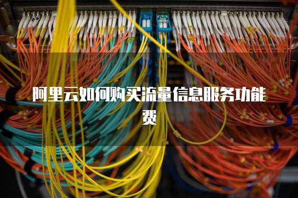 阿里云如何购买流量信息服务功能费