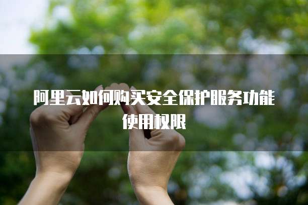 阿里云如何购买安全保护服务功能使用权限
