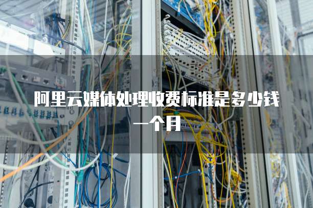 阿里云媒体处理收费标准是多少钱一个月