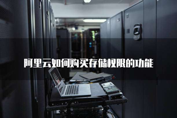 阿里云如何购买存储权限的功能