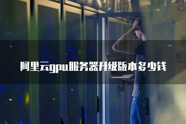 阿里云gpu服务器升级版本多少钱