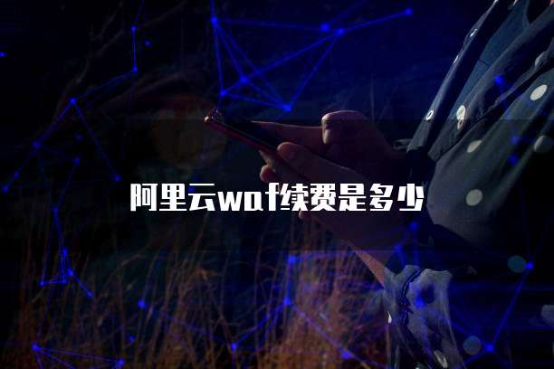 阿里云waf续费是多少