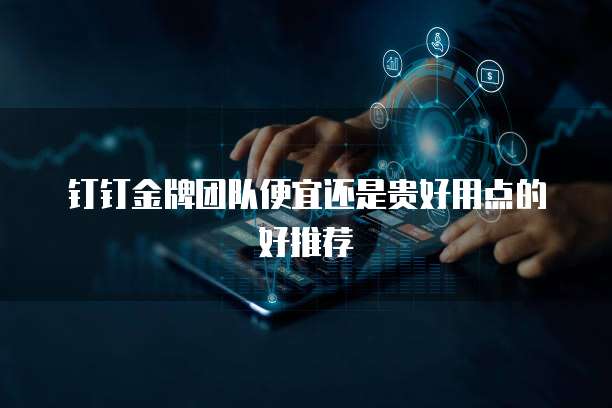 钉钉金牌团队便宜还是贵好用点的好推荐