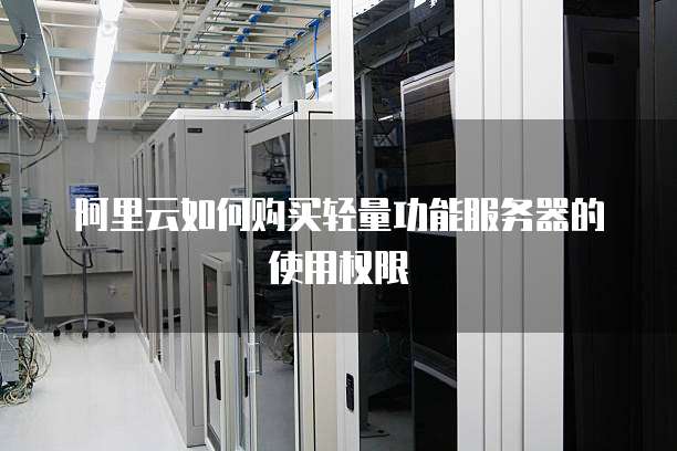 阿里云如何购买轻量功能服务器的使用权限