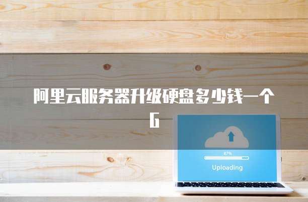 阿里云服务器升级硬盘多少钱一个G
