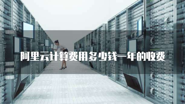 阿里云计算费用多少钱一年的收费