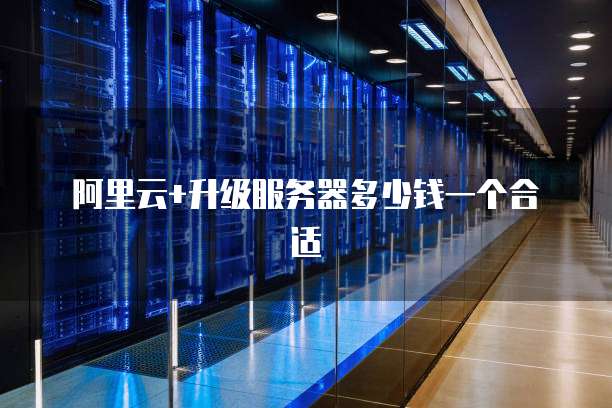 阿里云+升级服务器多少钱一个合适