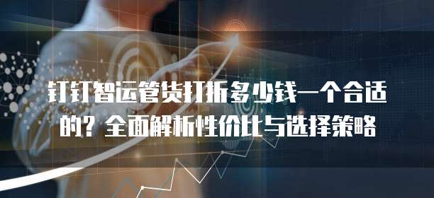 钉钉智运管货打折多少钱一个合适的?全面解析性价比与选择策略