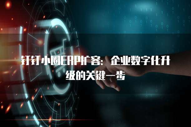 钉钉小圈ERP扩容:企业数字化升级的关键一步