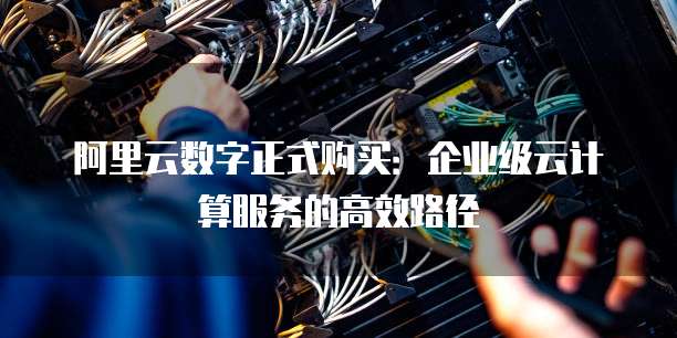 阿里云数字正式购买:企业级云计算服务的高效路径