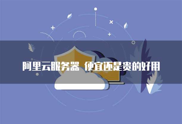 阿里云服务器 便宜还是贵的好用