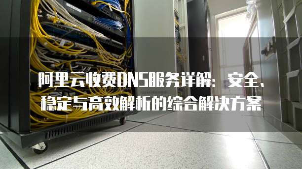 阿里云收费DNS服务详解：安全、稳定与高效解析的综合解决方案