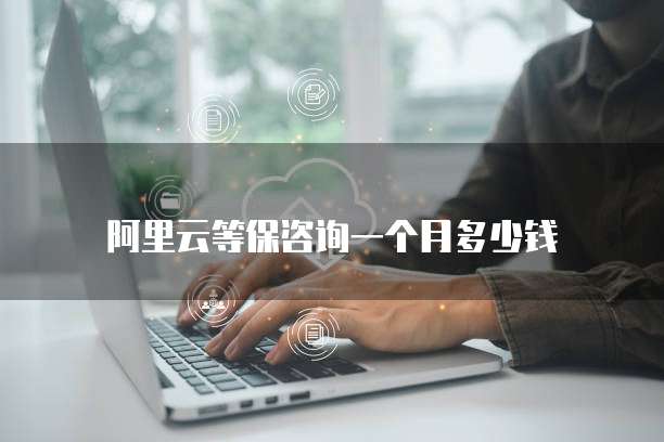 阿里云等保咨询一个月多少钱