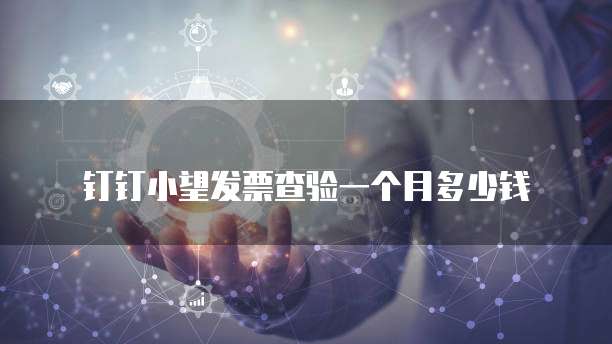 钉钉小望发票查验一个月多少钱