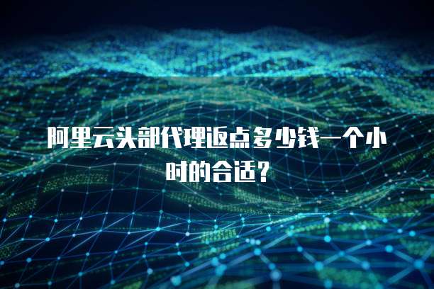 阿里云头部代理返点多少钱一个小时的合适?