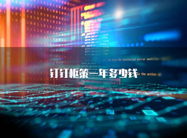 钉钉枢策一年多少钱