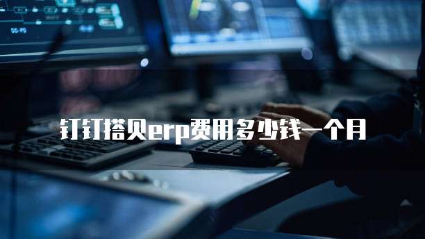钉钉搭贝erp费用多少钱一个月