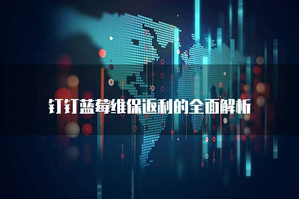 钉钉蓝莓维保返利的全面解析
