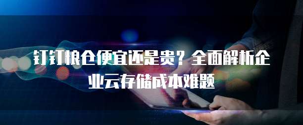 钉钉粮仓便宜还是贵?全面解析企业云存储成本难题