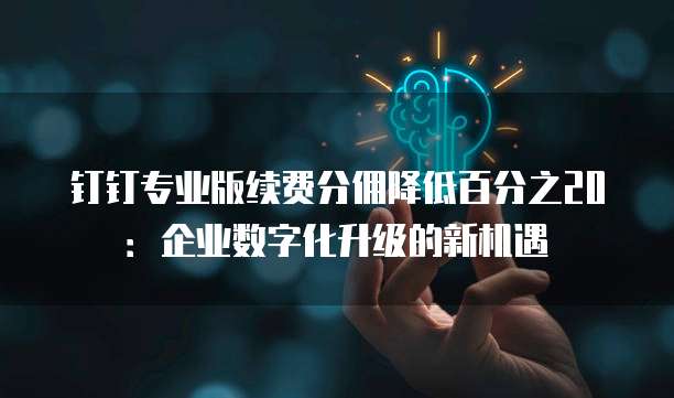 钉钉专业版续费分佣降低百分之20：企业数字化升级的新机遇