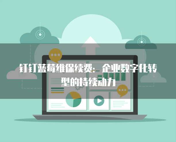 钉钉蓝莓维保续费:企业数字化转型的持续动力