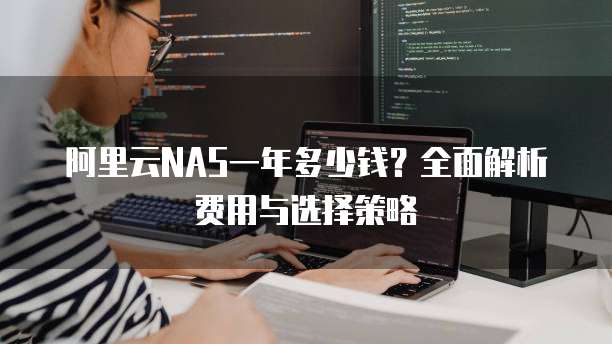 阿里云NAS一年多少钱?全面解析费用与选择策略