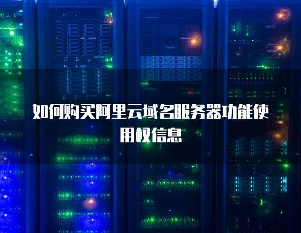 如何购买阿里云域名服务器功能使用权信息