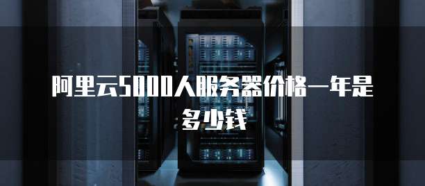 阿里云5000人服务器价格一年是多少钱