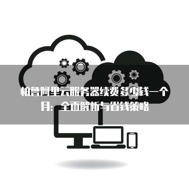帕鲁阿里云服务器续费多少钱一个月:全面解析与省钱策略
