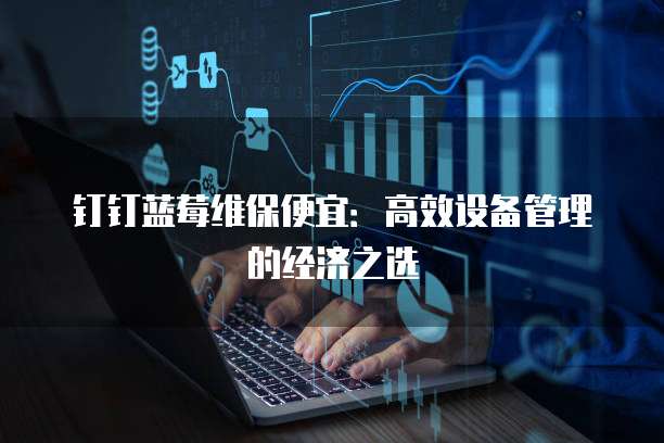 钉钉蓝莓维保便宜:高效设备管理的经济之选