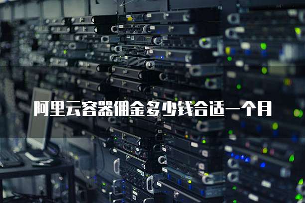 阿里云容器佣金多少钱合适一个月