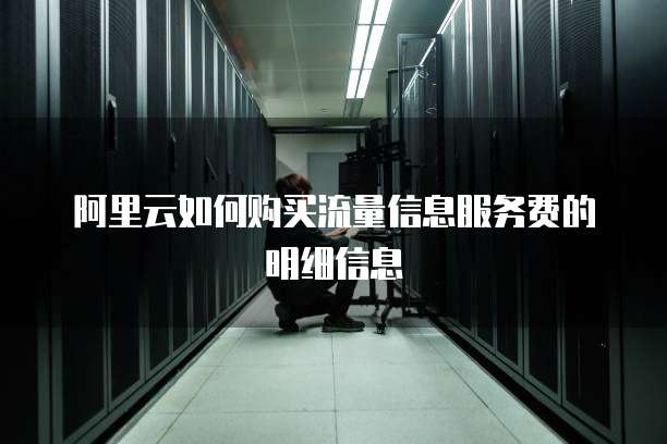 阿里云如何购买流量信息服务费的明细信息
