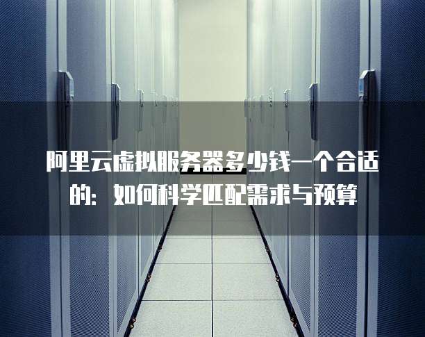 阿里云虚拟服务器多少钱一个合适的:如何科学匹配需求与预算