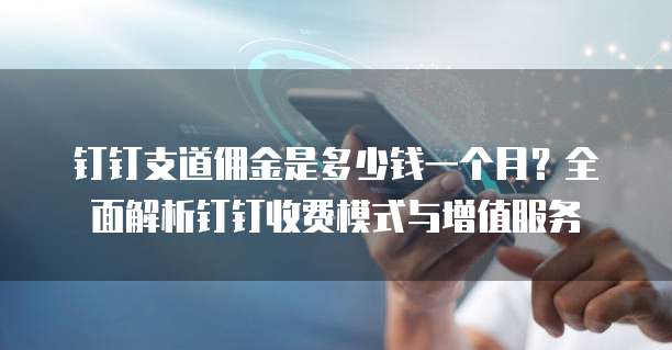 钉钉支道佣金是多少钱一个月?全面解析钉钉收费模式与增值服务