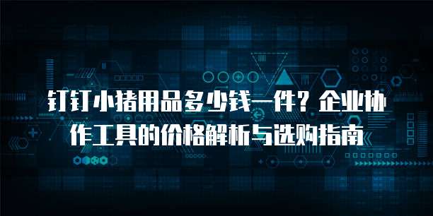 钉钉小猪用品多少钱一件?企业协作工具的价格解析与选购指南
