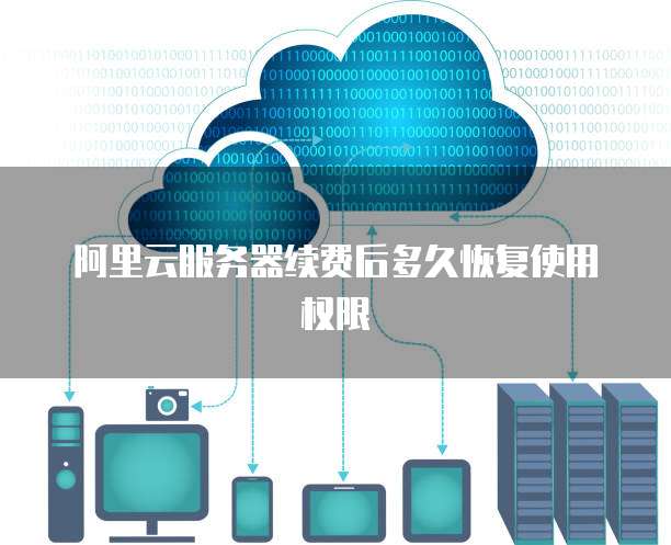 阿里云服务器续费后多久恢复使用权限