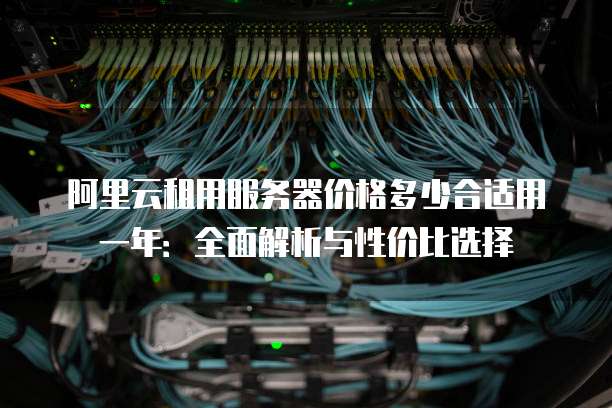 阿里云租用服务器价格多少合适用一年:全面解析与性价比选择
