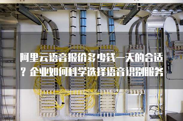 阿里云语音报价多少钱一天的合适?企业如何科学选择语音识别服务