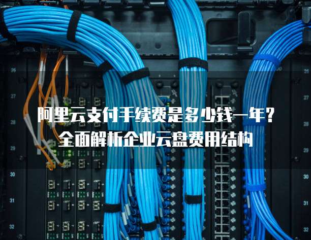阿里云支付手续费是多少钱一年?全面解析企业云盘费用结构
