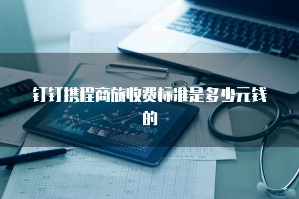 钉钉携程商旅收费标准是多少元钱的