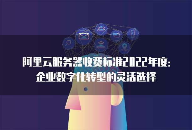 阿里云服务器收费标准2022年度：企业数字化转型的灵活选择
