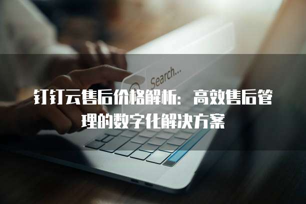 钉钉云售后价格解析:高效售后管理的数字化解决方案