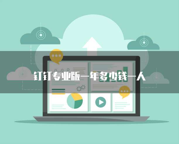 钉钉专业版一年多少钱一人