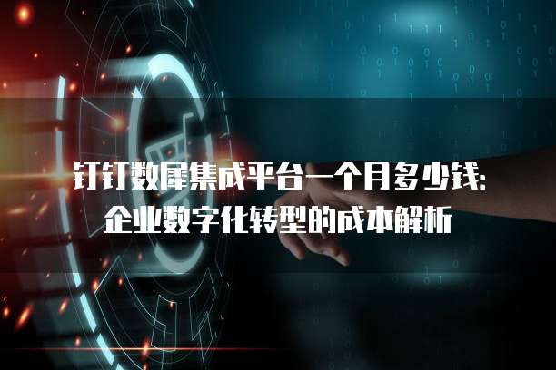 钉钉数犀集成平台一个月多少钱：企业数字化转型的成本解析