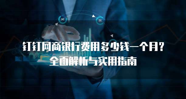 钉钉网商银行费用多少钱一个月?全面解析与实用指南